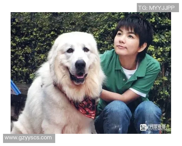 足球明星与爱犬共踢足球的趣味视频展现温馨时刻与运动魅力